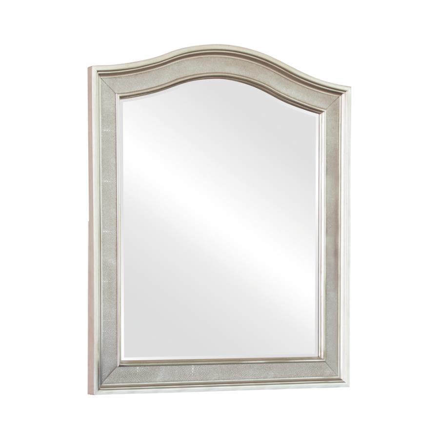 (image for) Bling Game Vanity Mirror Metallic Platinum