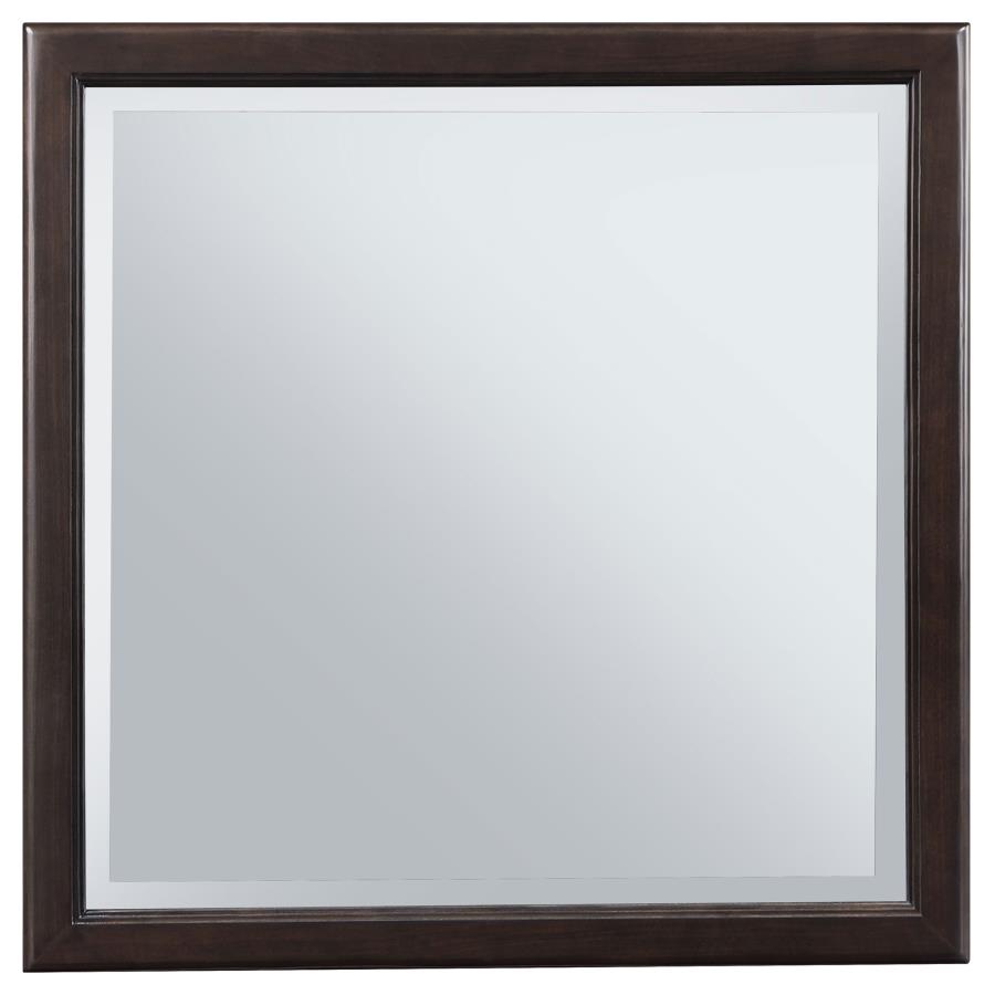 (image for) Emberlyn Dresser Mirror Brown