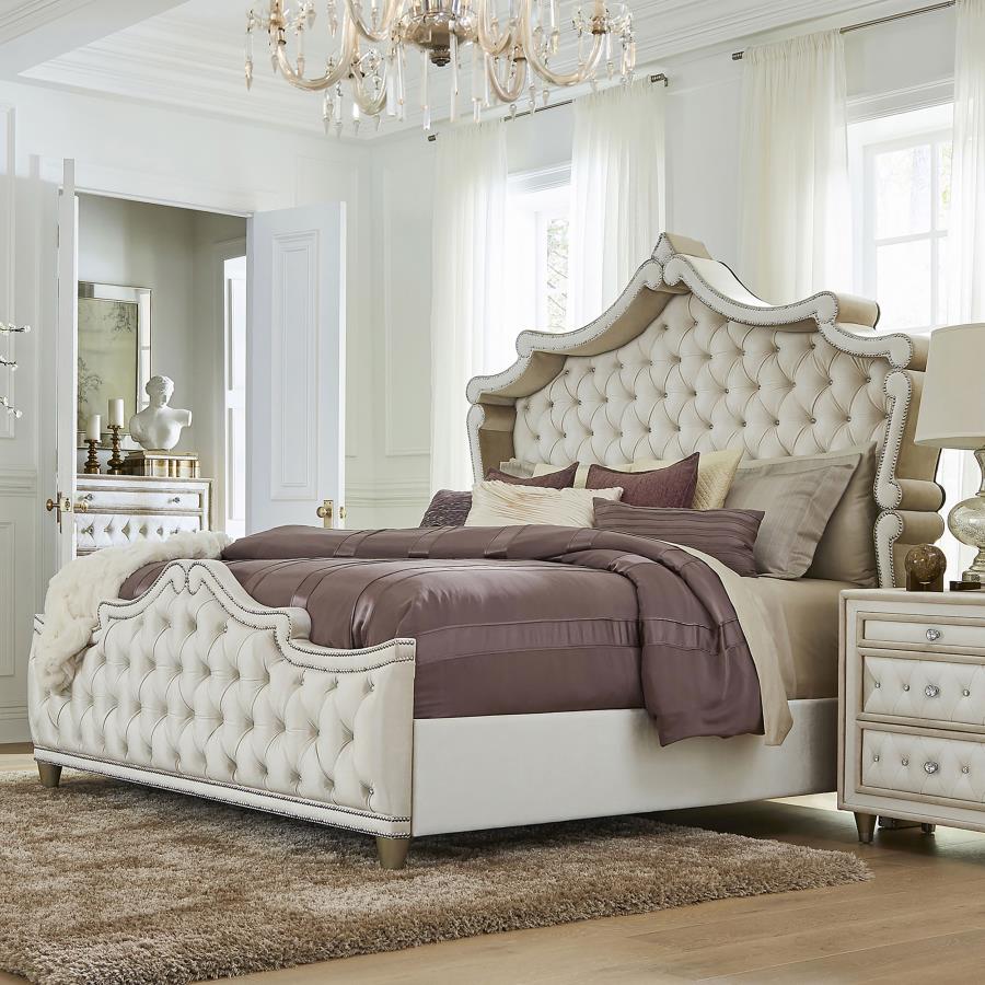 (image for) Antonella Upholstered California King Panel Bed Ivory