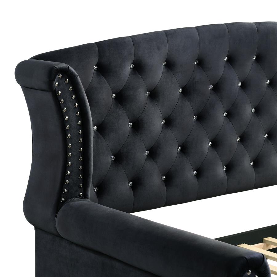 (image for) Scarlett Upholstered Twin Daybed with Trundle Black