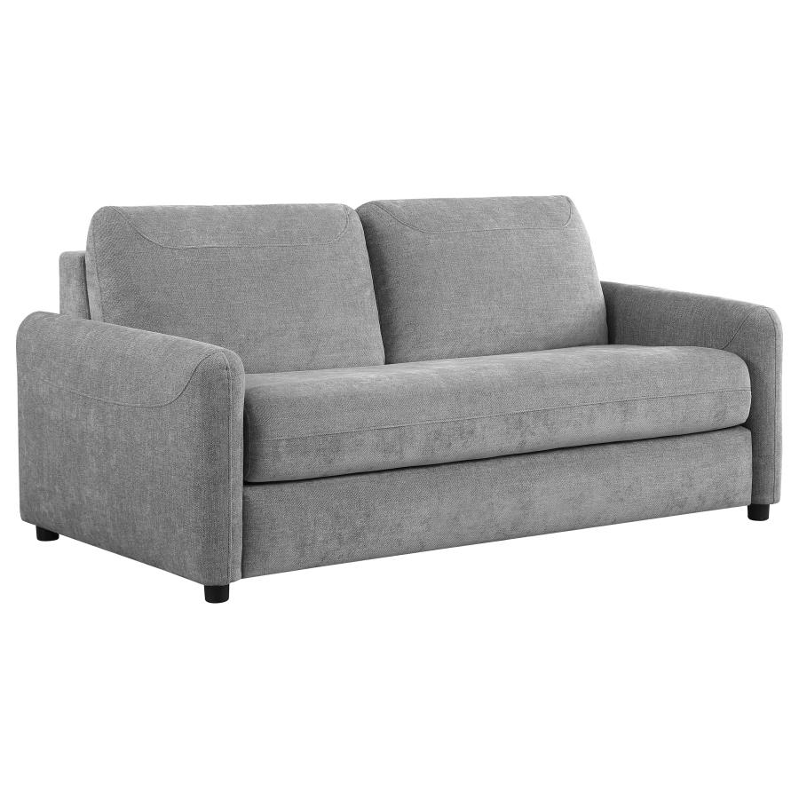 (image for) Sleeper Sofas