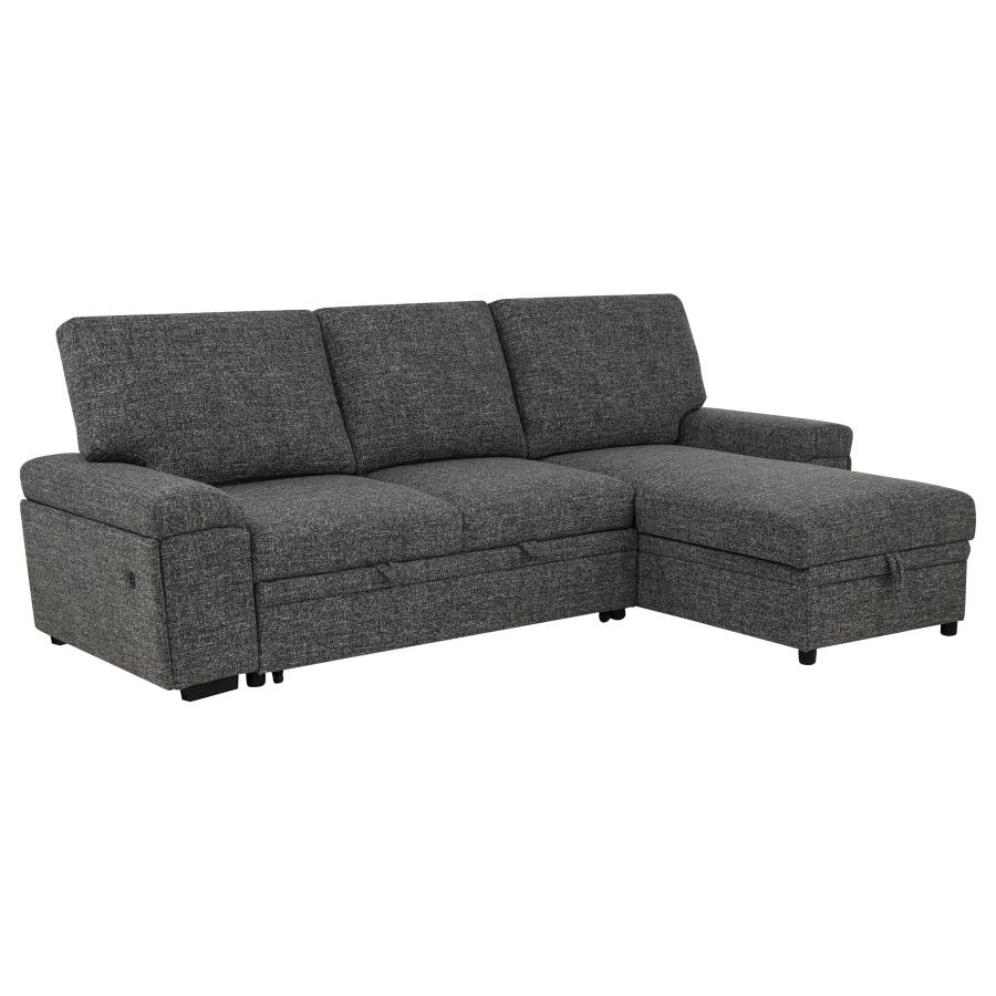 (image for) Demko Sleeper Sectional Sofa with Speaker and Storage Chaise Granite