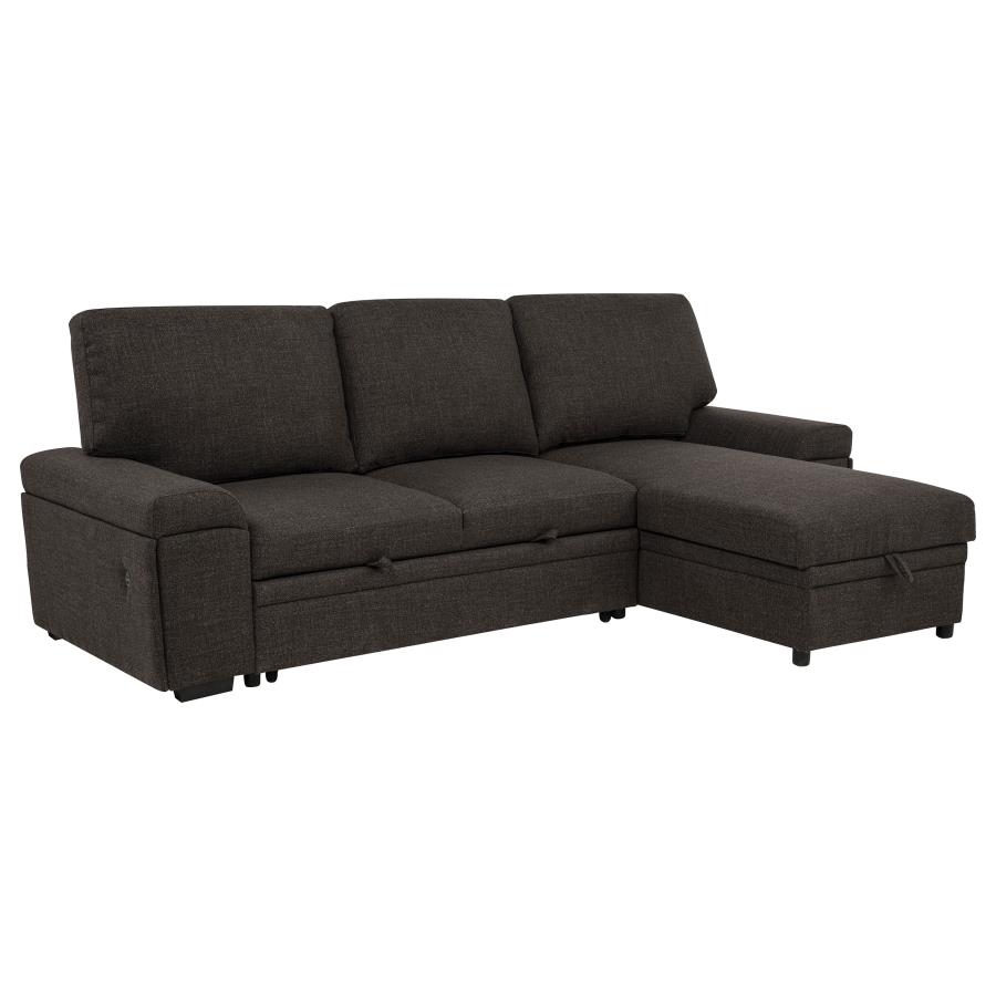 (image for) Demko Sleeper Sectional Sofa with Speaker and Storage Chaise Brown