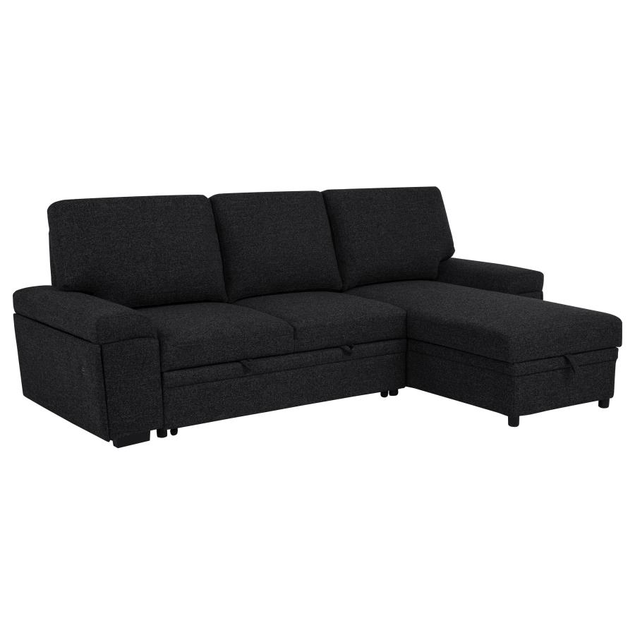 (image for) Demko Sleeper Sectional Sofa with Speaker and Storage Chaise Black