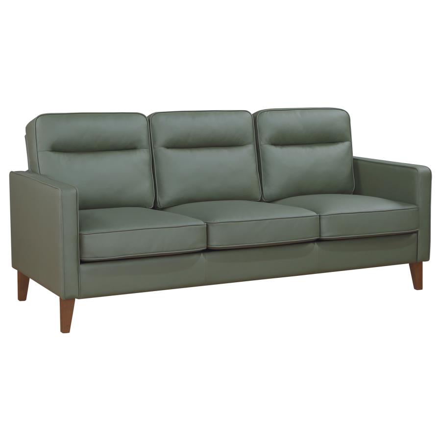 (image for) Jonah 2-piece Upholstered Track Arm Sofa Set Green