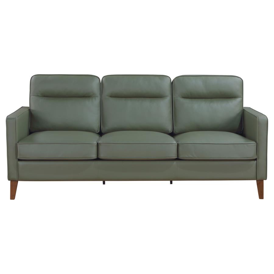 (image for) Jonah 2-piece Upholstered Track Arm Sofa Set Green