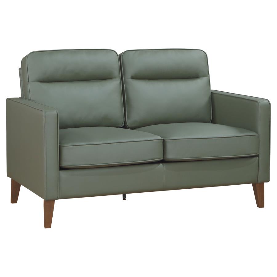 (image for) Jonah 2-piece Upholstered Track Arm Sofa Set Green