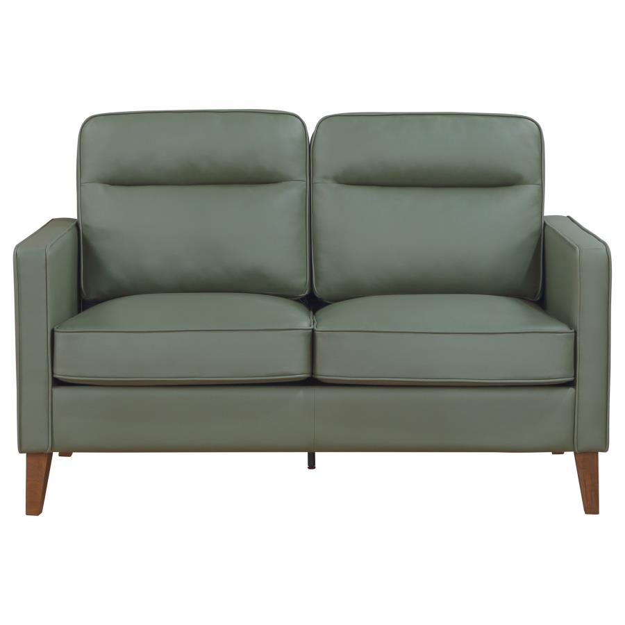 (image for) Jonah 2-piece Upholstered Track Arm Sofa Set Green